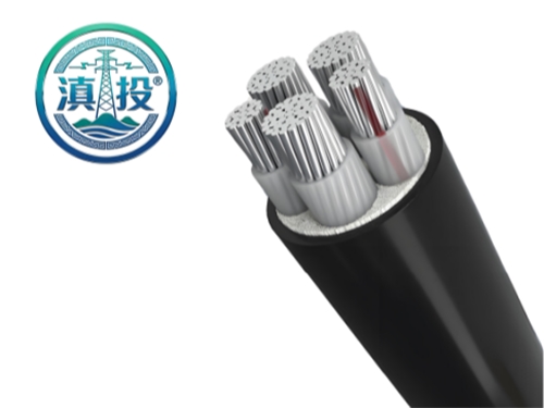 云南電纜廠+昆明電纜廠雙立足！滇投® 務(wù)實(shí)深耕本地輻射周邊