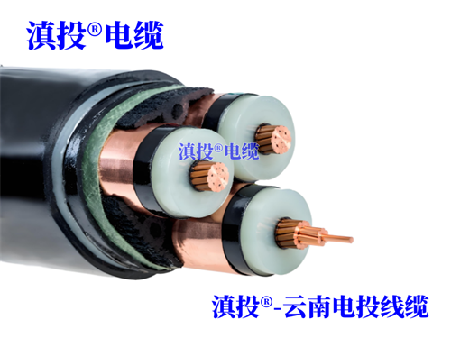 WWW.YNJTDL.COM